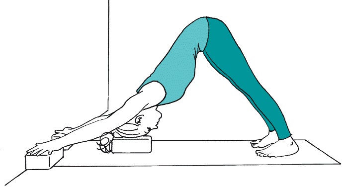 Иллюстрация к книге — Йога для здоровья груди [_044.jpg]