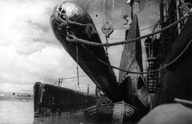 Иллюстрация к книге — Герои Черноморского Подплава [i_089.jpg]