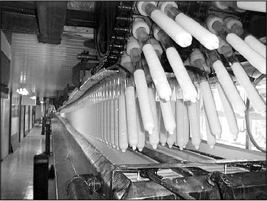 Иллюстрация к книге — Секс, водка, потанцуем? Природа удовольствий [i_021.jpg]