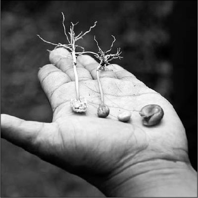 Иллюстрация к книге — Секс, водка, потанцуем? Природа удовольствий [i_039.jpg]