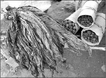 Иллюстрация к книге — Секс, водка, потанцуем? Природа удовольствий [i_063.jpg]