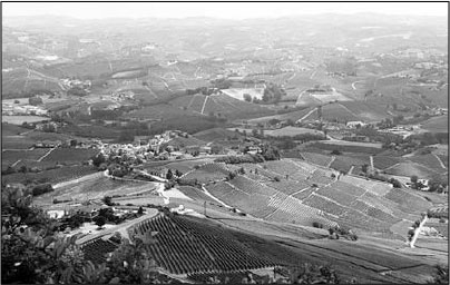 Иллюстрация к книге — Секс, водка, потанцуем? Природа удовольствий [i_071.jpg]