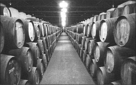 Иллюстрация к книге — Секс, водка, потанцуем? Природа удовольствий [i_074.jpg]