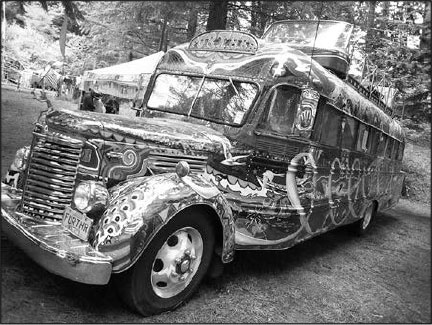 Иллюстрация к книге — Секс, водка, потанцуем? Природа удовольствий [i_096.jpg]