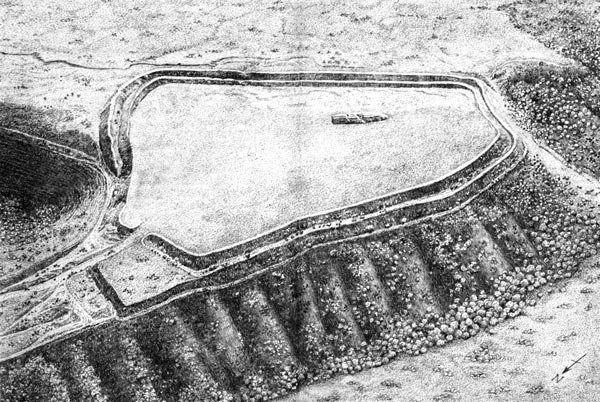 Иллюстрация к книге — Последнее королевство. Бледный всадник [i_003.jpg]