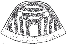 Иллюстрация к книге — Скифы. Строители степных пирамид [i_009.jpg]