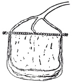 Иллюстрация к книге — Скифы. Строители степных пирамид [i_012.jpg]