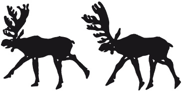 Иллюстрация к книге — Скифы. Строители степных пирамид [i_029.jpg]