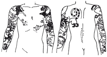 Иллюстрация к книге — Скифы. Строители степных пирамид [i_030.jpg]