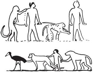 Иллюстрация к книге — Красная земля, Черная земля. Древний Египет: легенды и факты [i_007.jpg]