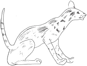 Иллюстрация к книге — Красная земля, Черная земля. Древний Египет: легенды и факты [i_009.jpg]