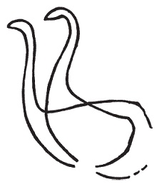 Иллюстрация к книге — Древние скандинавы. Сыны северных богов [pic_2.jpg]