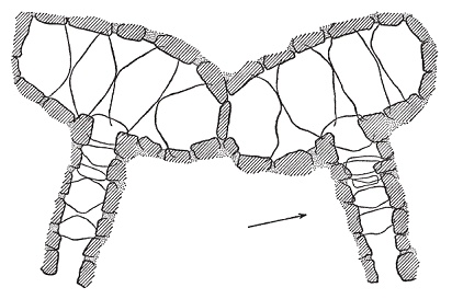 Иллюстрация к книге — Древние скандинавы. Сыны северных богов [pic_5.jpg]
