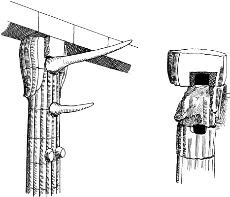 Иллюстрация к книге — Древние загадки фараонов [i_012.jpg]