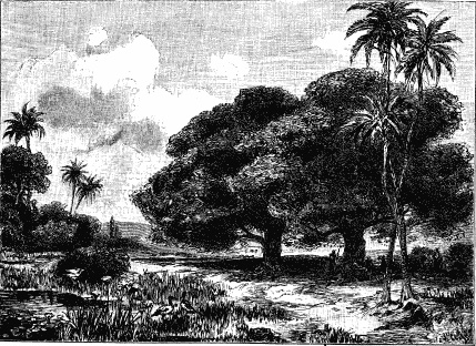 Иллюстрация к книге — Государство, армия и общество Древнего Египта [i_005.jpg]