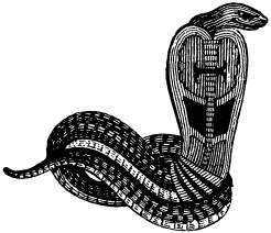 Иллюстрация к книге — Государство, армия и общество Древнего Египта [i_047.jpg]