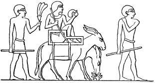 Иллюстрация к книге — Государство, армия и общество Древнего Египта [i_122.jpg]