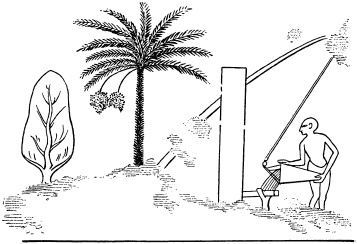 Иллюстрация к книге — Государство, армия и общество Древнего Египта [i_130.jpg]