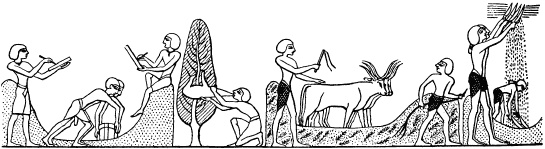 Иллюстрация к книге — Государство, армия и общество Древнего Египта [i_139.jpg]