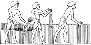 Иллюстрация к книге — Государство, армия и общество Древнего Египта [i_143.jpg]