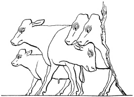 Иллюстрация к книге — Государство, армия и общество Древнего Египта [i_145.jpg]