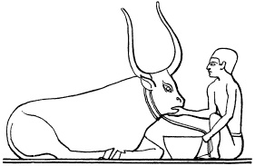 Иллюстрация к книге — Государство, армия и общество Древнего Египта [i_146.jpg]