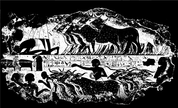 Иллюстрация к книге — Государство, армия и общество Древнего Египта [i_151.jpg]