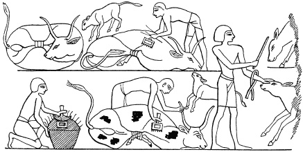 Иллюстрация к книге — Государство, армия и общество Древнего Египта [i_154.jpg]