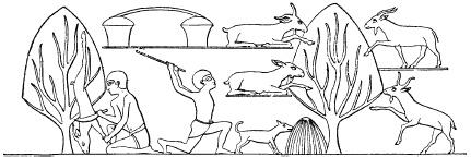 Иллюстрация к книге — Государство, армия и общество Древнего Египта [i_159.jpg]