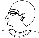 Иллюстрация к книге — Жизнь в Древнем Египте [i_091.jpg]