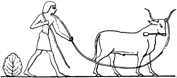 Иллюстрация к книге — Жизнь в Древнем Египте [i_136.jpg]