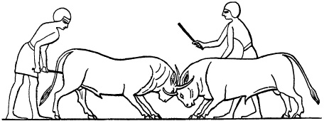 Иллюстрация к книге — Жизнь в Древнем Египте [i_137.jpg]