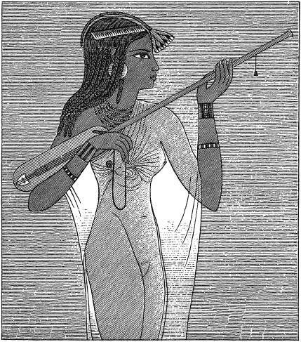 Иллюстрация к книге — Жизнь в Древнем Египте [i_149.jpg]