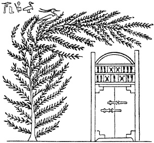 Иллюстрация к книге — Жизнь в Древнем Египте [i_171.jpg]