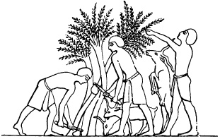 Иллюстрация к книге — Жизнь в Древнем Египте [i_326.jpg]