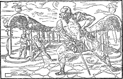 Иллюстрация к книге — Школы и мастера фехтования. Благородное искусство владения клинком [i_013.jpg]