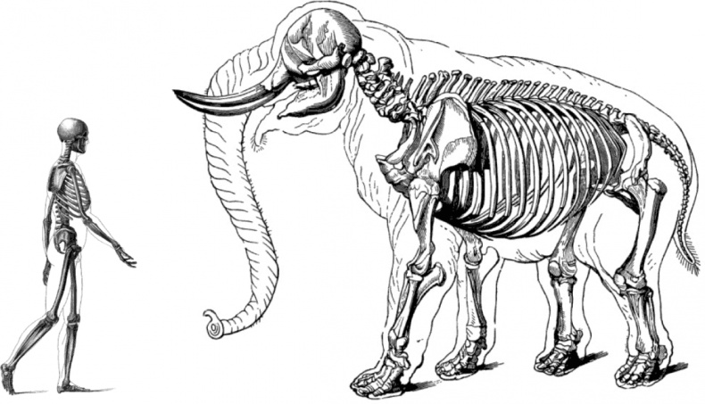 Иллюстрация к книге — Энергия крахмала. Ешьте вкусно, заботьтесь о здоровье и худейте навсегда [i_011.jpg]