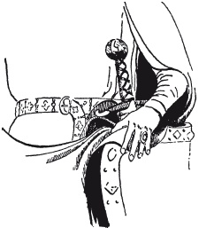 Иллюстрация к книге — Меч в век рыцарства. Классификация, типология, описание [i_188.jpg]