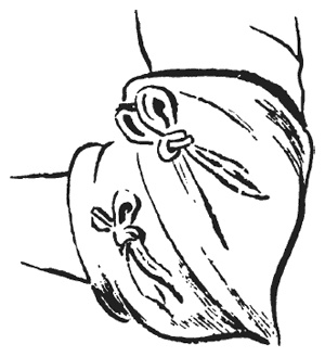 Иллюстрация к книге — Рыцарь и его доспехи. Латное облачение и вооружение [i_027.jpg]