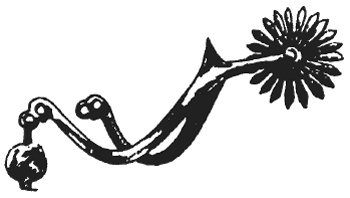 Иллюстрация к книге — Рыцарь и его доспехи. Латное облачение и вооружение [i_056.jpg]