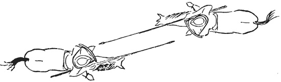 Иллюстрация к книге — Рыцарь и его замок. Средневековые крепости и осадные сооружения [i_040.jpg]