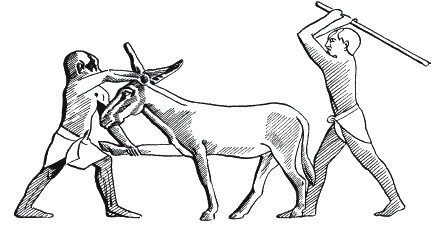 Иллюстрация к книге — Боги и люди Древнего Египта [_012.jpg]