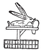 Иллюстрация к книге — Нил и египетская цивилизация [i_011.jpg]