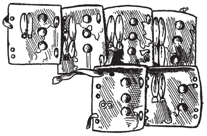 Иллюстрация к книге — Доспехи народов Востока. История оборонительного вооружения [i_120.jpg]