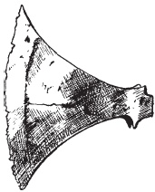 Иллюстрация к книге — Археология оружия. От бронзового века до эпохи Ренессанса [i_074.jpg]