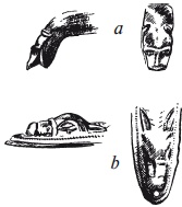 Иллюстрация к книге — Археология оружия. От бронзового века до эпохи Ренессанса [i_098.jpg]