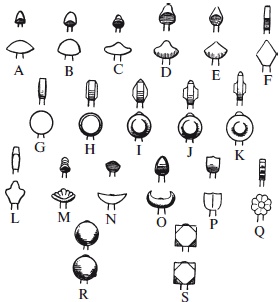 Иллюстрация к книге — Археология оружия. От бронзового века до эпохи Ренессанса [i_109.jpg]