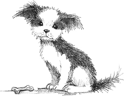 Иллюстрация к книге — Щенок Сид, или Лучший трюк [i_001.jpg]