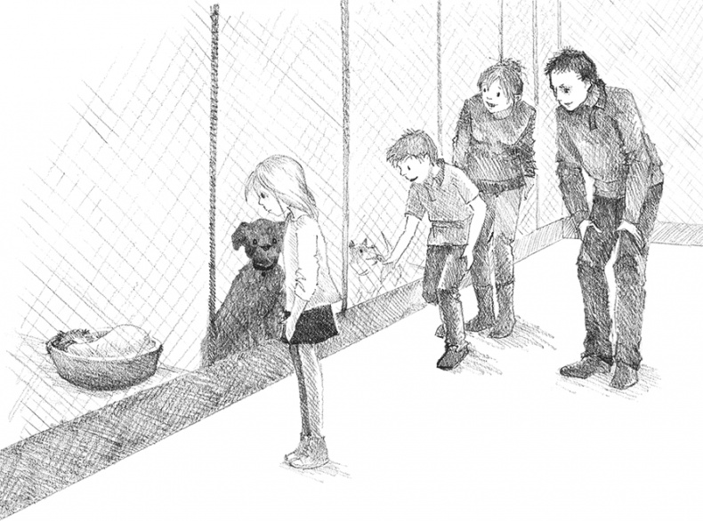 Иллюстрация к книге — Щенок Сид, или Лучший трюк [i_005.jpg]