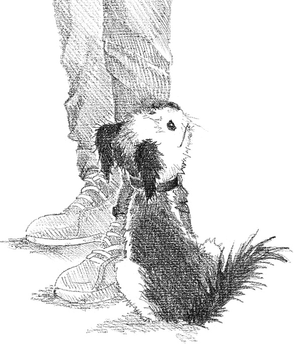 Иллюстрация к книге — Щенок Сид, или Лучший трюк [i_026.jpg]